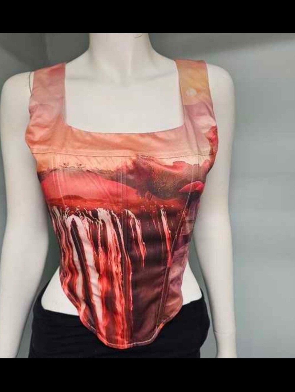 NWT Fashion Nova Adventures Ahead Corset